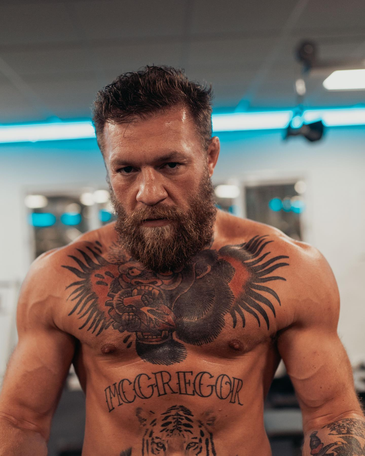 Conor McGregor's Latest Fox News Appearance: What Happened? Conor McGregor's Latest Fox News Appearance: What Happened?
