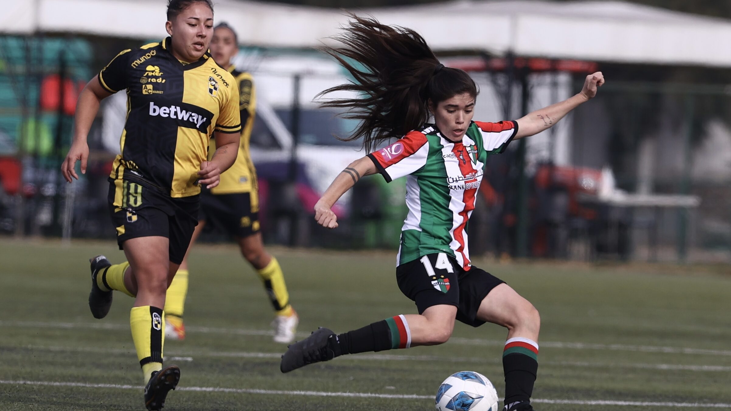 Coquimbo Unido Y Everton Viña Empatan 0-0: Análisis Del Partido Coquimbo Unido Y Everton Viña Empatan 0-0: Análisis Del Partido