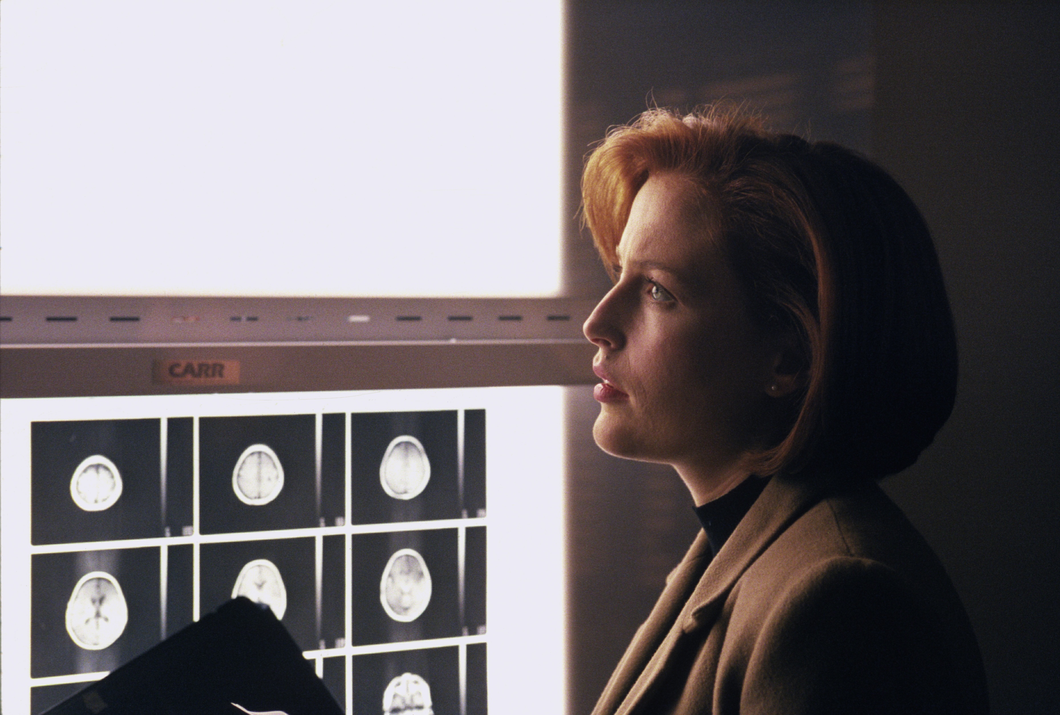 Could Gillian Anderson Star In A Scary X-Files Reboot?