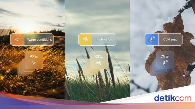 Cuaca Bali Besok: Dominan Berawan, Waspada Hujan Ringan Cuaca Bali Besok: Dominan Berawan, Waspada Hujan Ringan