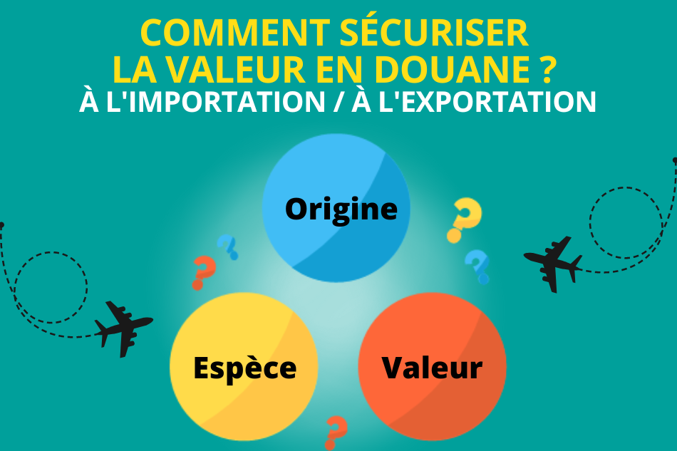 Déclaration En Douane: Guide Des Droits Et Procédures Déclaration En Douane: Guide Des Droits Et Procédures