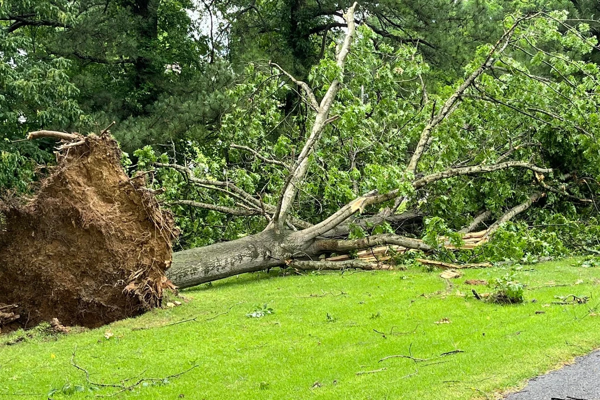 Delays In Kentucky Storm Damage Assessments: Understanding The Challenges