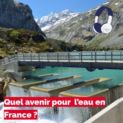 Démission D'Athmane Sahbane : Quel Avenir Pour L'USMA ? Démission D'Athmane Sahbane : Quel Avenir Pour L'USMA ?