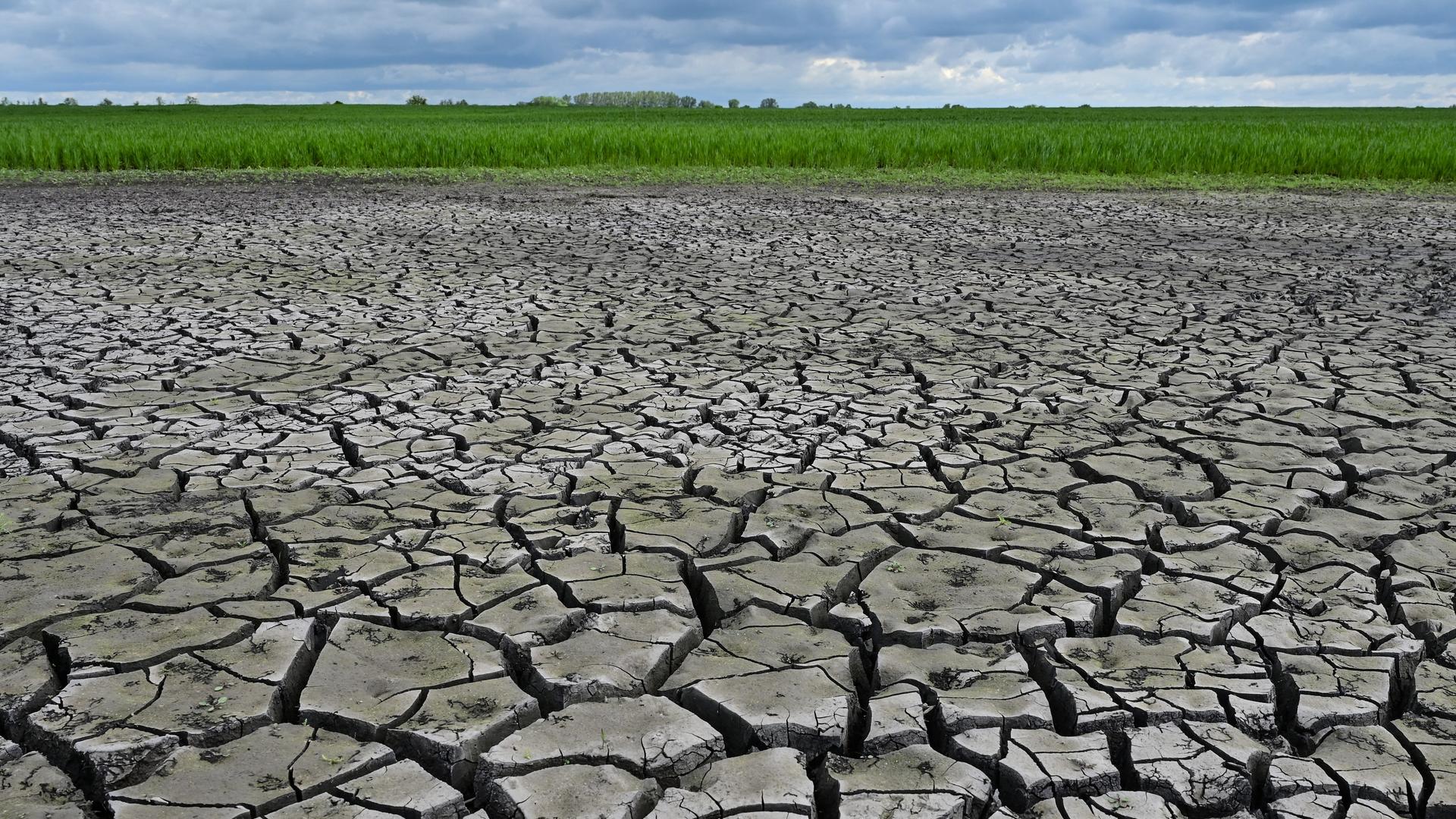 Deutschland: Trockenheit Trotz Punktuellem Regen Deutschland: Trockenheit Trotz Punktuellem Regen
