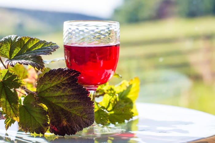 Differentiating Cassis Blackcurrant From Other Blackcurrant Products Differentiating Cassis Blackcurrant From Other Blackcurrant Products