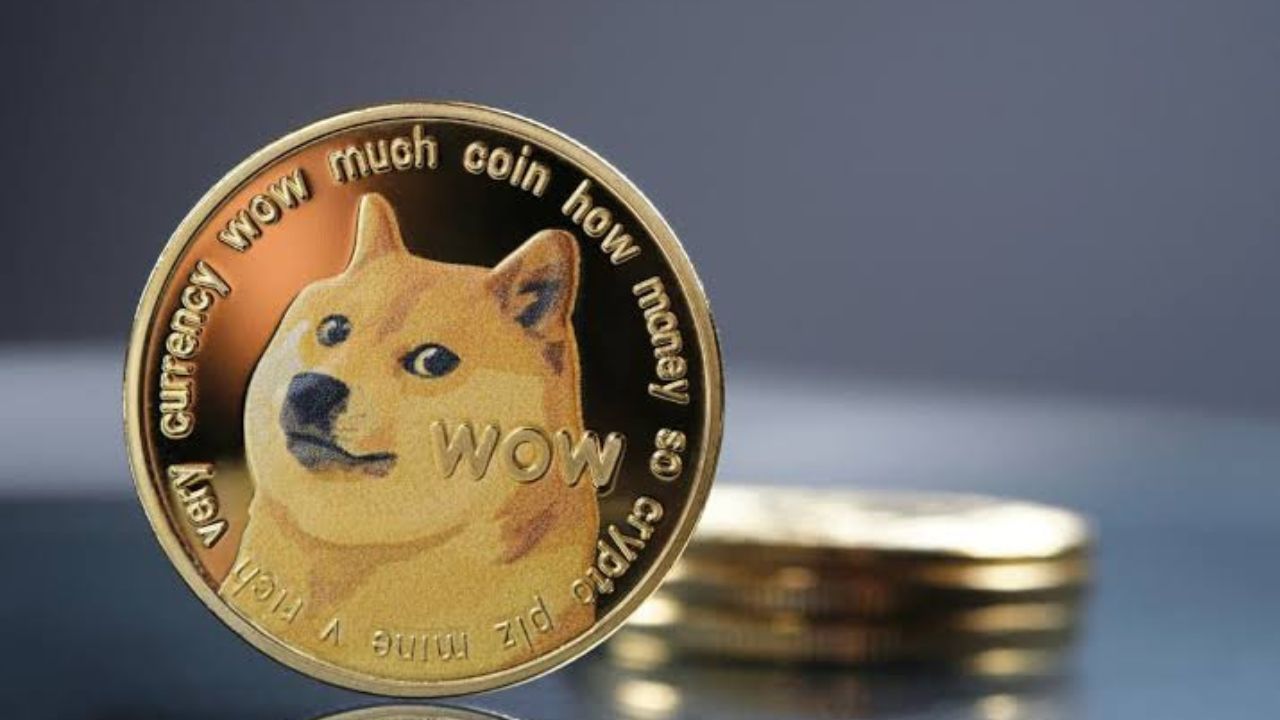 Dogecoin's Future: Elon Musk's Involvement Questioned Dogecoin's Future: Elon Musk's Involvement Questioned