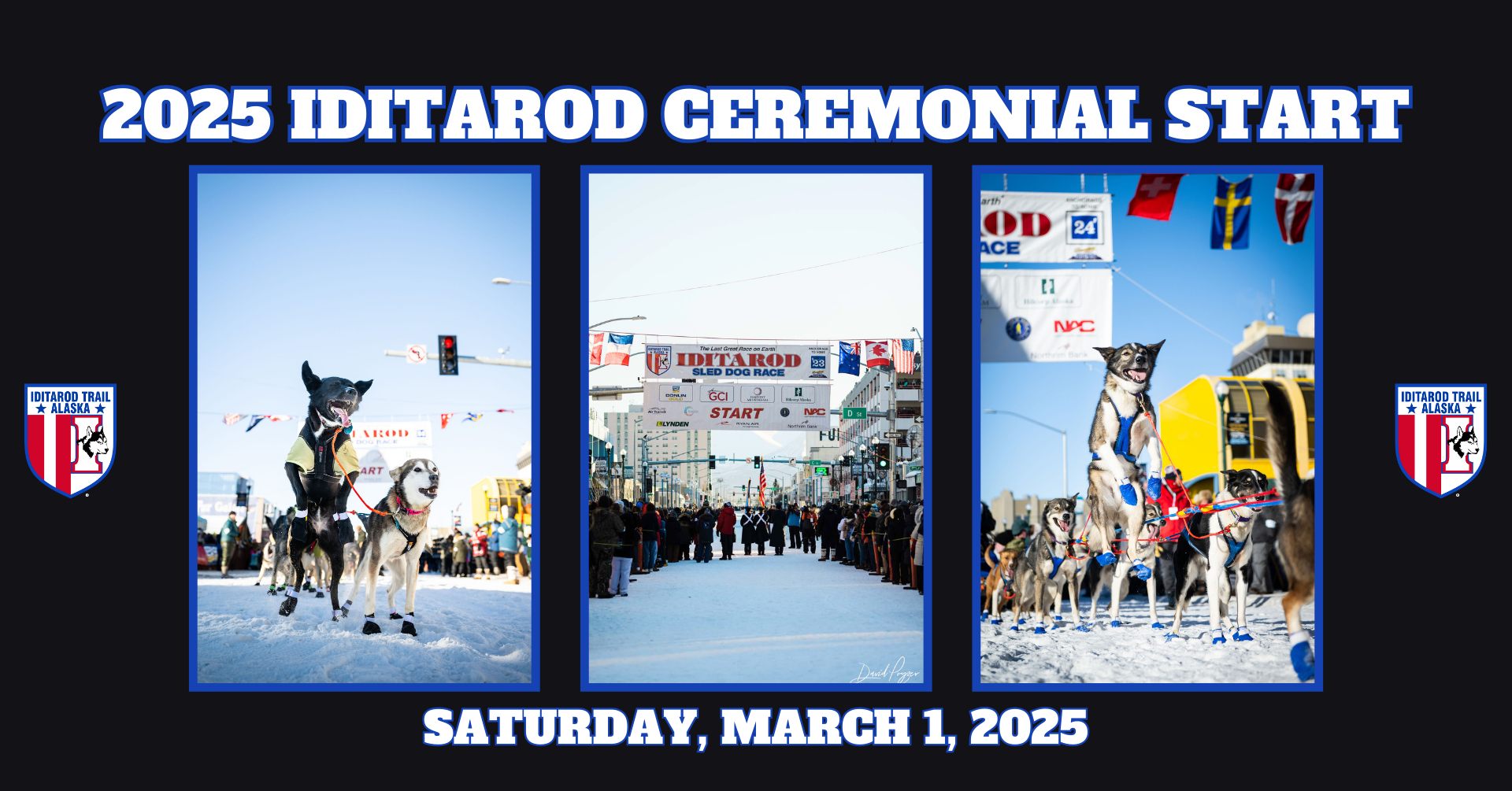 Downtown Anchorage Overflowing: Spectators Celebrate Iditarod's 2025 Ceremonial Start Downtown Anchorage Overflowing: Spectators Celebrate Iditarod's 2025 Ceremonial Start