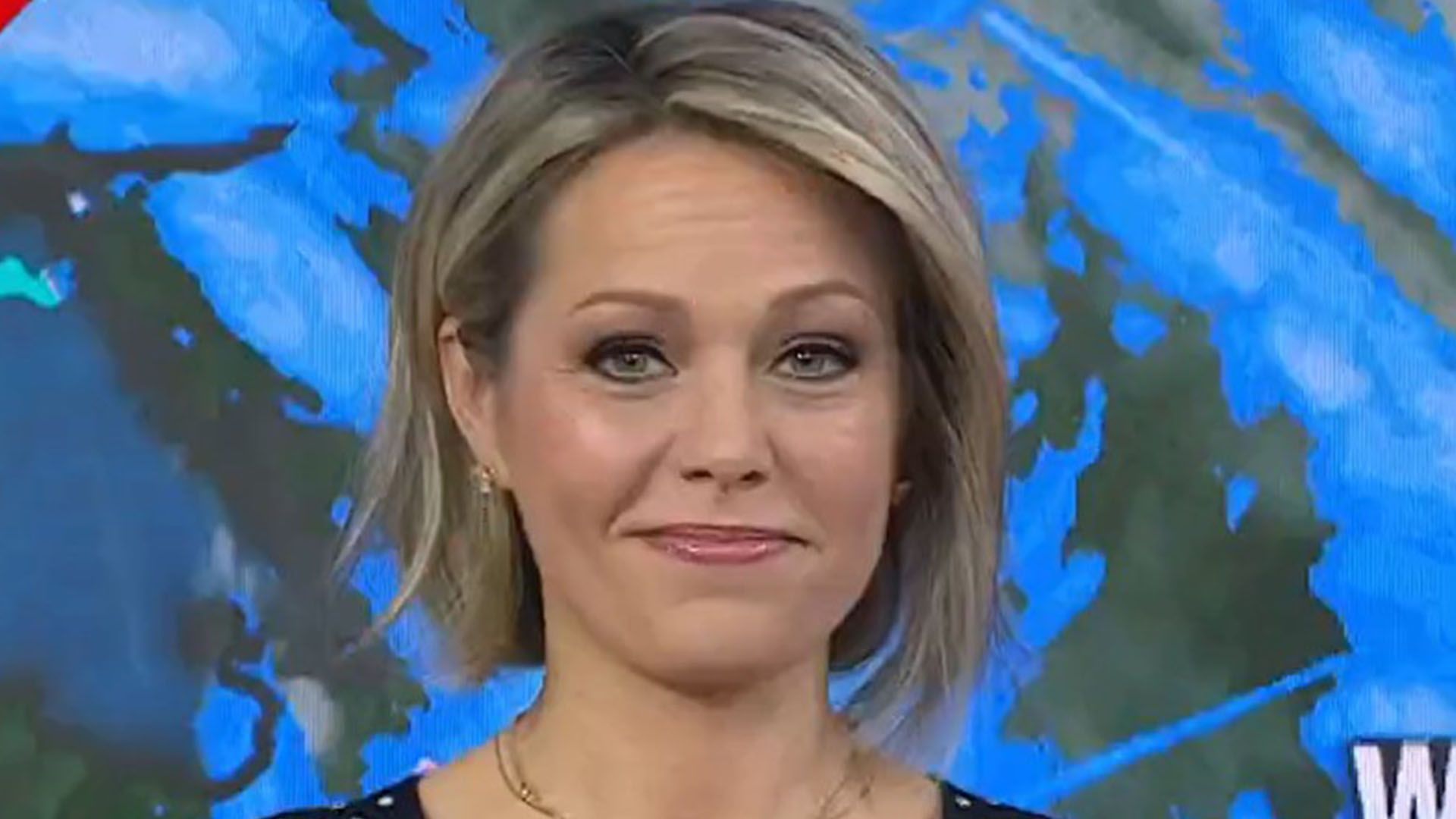 Dylan Dreyer And Today Show Colleagues: A Mishap And Its Aftermath Dylan Dreyer And Today Show Colleagues: A Mishap And Its Aftermath