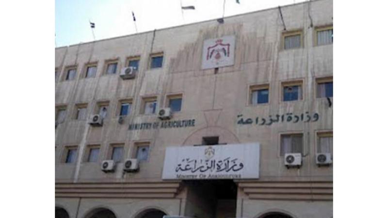 ديوان المحاسبة يكشف عن مخالفات مالية: ردود أفعال النواب ديوان المحاسبة يكشف عن مخالفات مالية: ردود أفعال النواب
