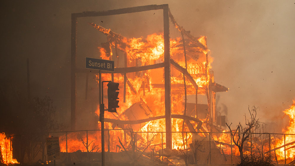 Eastern Newfoundland Wildfires: Devastation And Mass Evacuations Eastern Newfoundland Wildfires: Devastation And Mass Evacuations