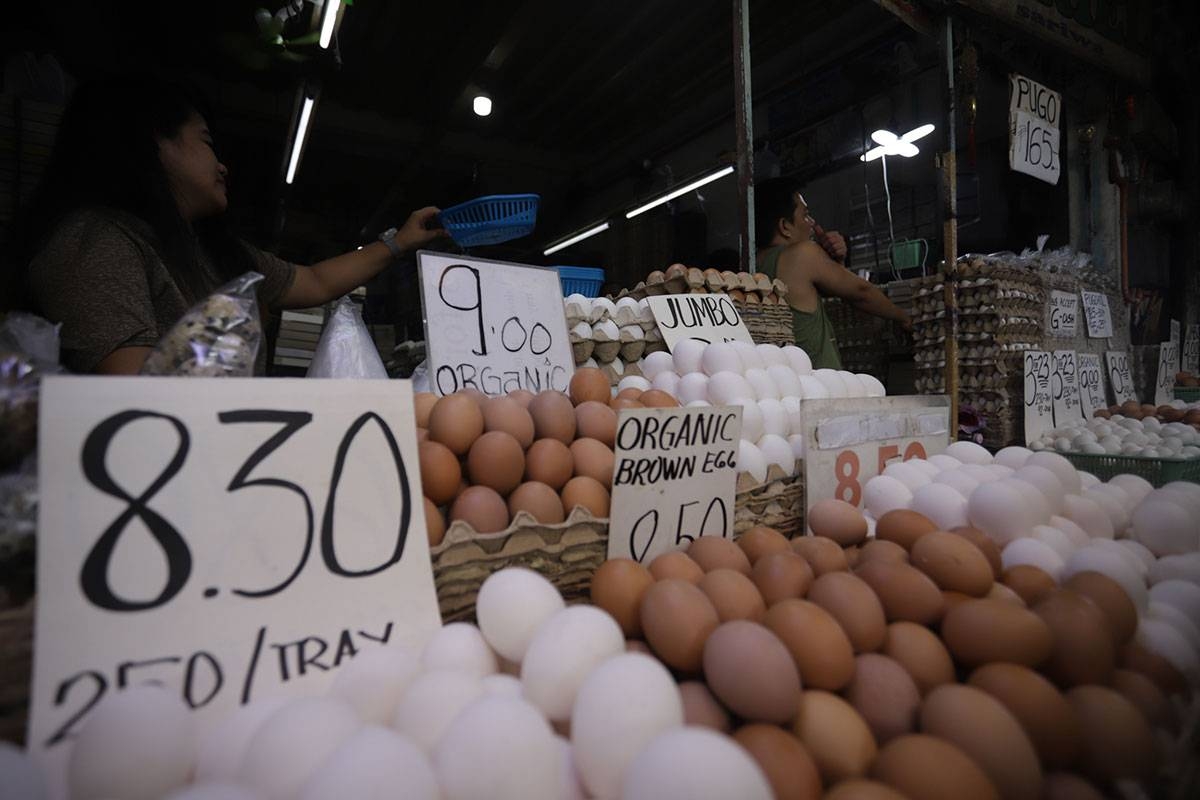 Egg Price Decline: Dozens Now $5 After Reaching Record Highs Egg Price Decline: Dozens Now $5 After Reaching Record Highs