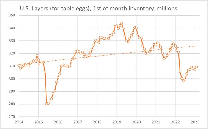 Egg Prices Plummet: Dozen Now $5 After Record Highs Egg Prices Plummet: Dozen Now $5 After Record Highs