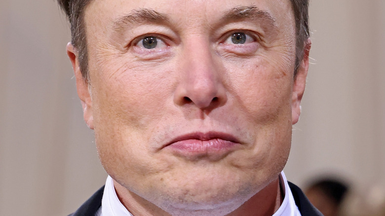 Elon Musk Denies Paternity: The Amber Heard Twins Controversy Elon Musk Denies Paternity: The Amber Heard Twins Controversy