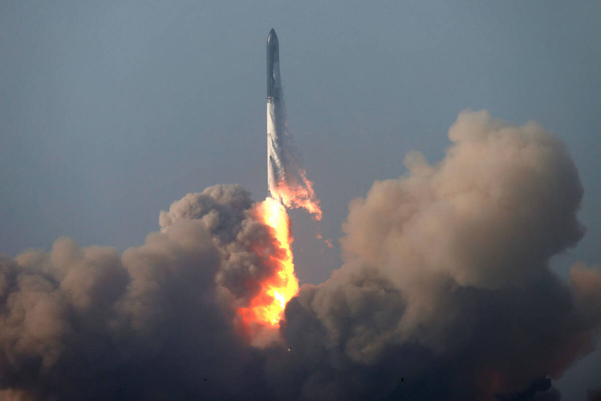 Elon Musk's Wealth Explodes: Tesla's Success And Dogecoin Distance Elon Musk's Wealth Explodes: Tesla's Success And Dogecoin Distance