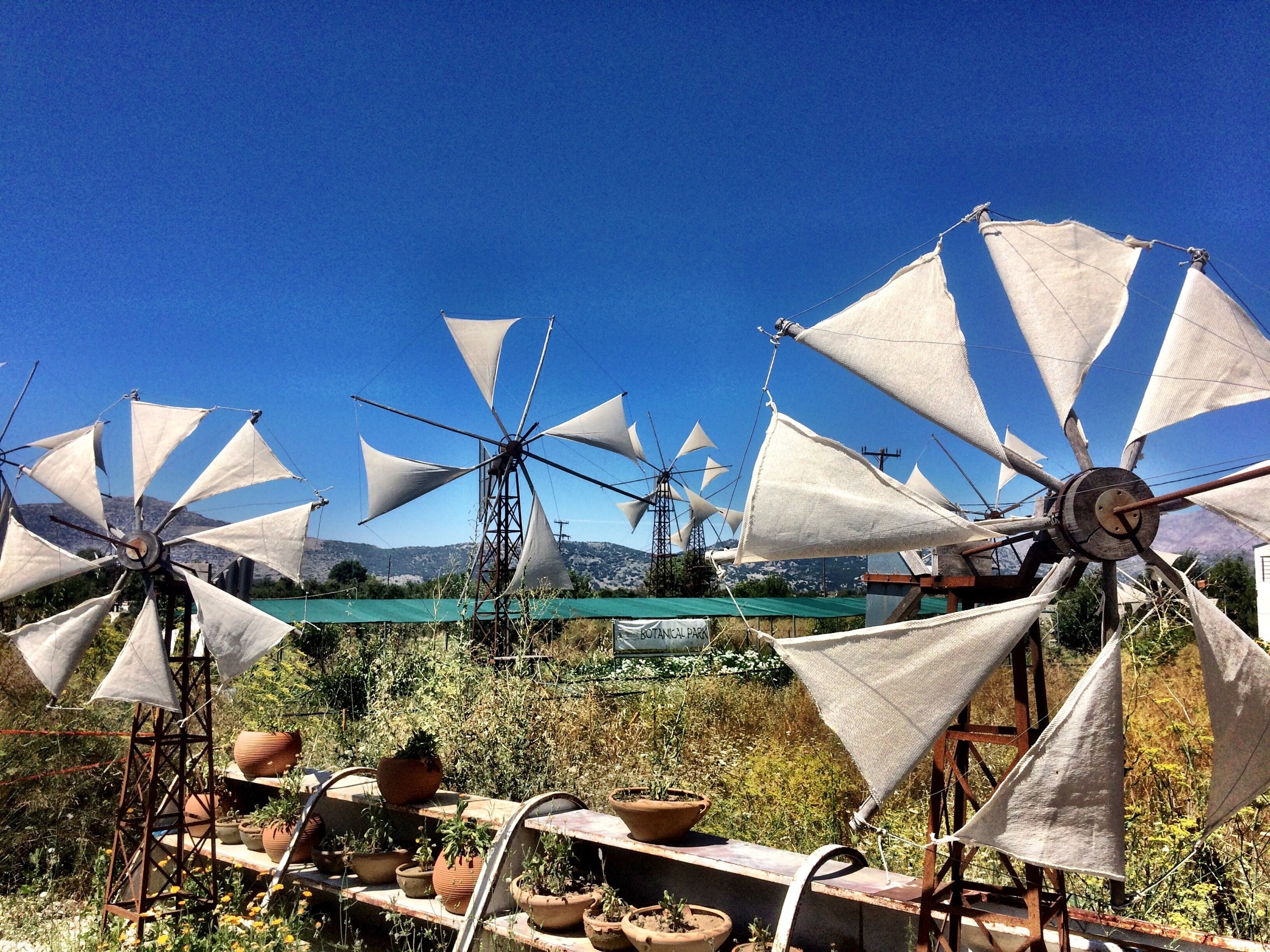 Enjoy A Unique May Day Experience In The Lasithi Plateau Enjoy A Unique May Day Experience In The Lasithi Plateau