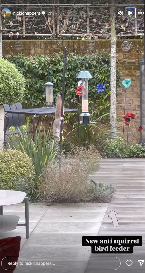 Escape To The Country: Nicki Chapman's Chiswick Garden Revealed Escape To The Country: Nicki Chapman's Chiswick Garden Revealed