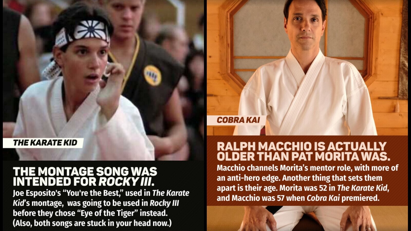 Examining The Continuity Between Cobra Kai And The Karate Kid Examining The Continuity Between Cobra Kai And The Karate Kid