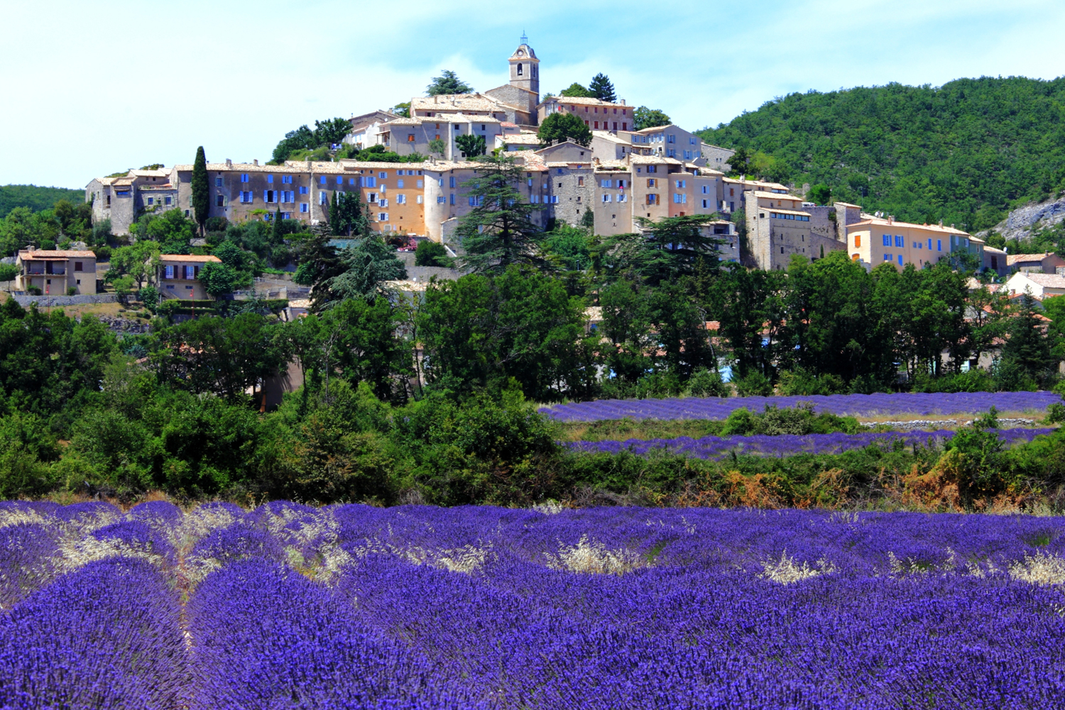 Explore Provence: A Self-Guided Walk From Mountains To Sea Explore Provence: A Self-Guided Walk From Mountains To Sea