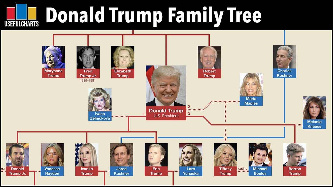 Exploring The Trump Family Tree: A Look At The President's Lineage Exploring The Trump Family Tree: A Look At The President's Lineage