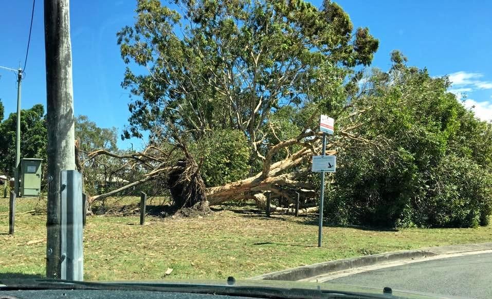 Fast-Moving Storms: How To Stay Safe From High Winds Fast-Moving Storms: How To Stay Safe From High Winds