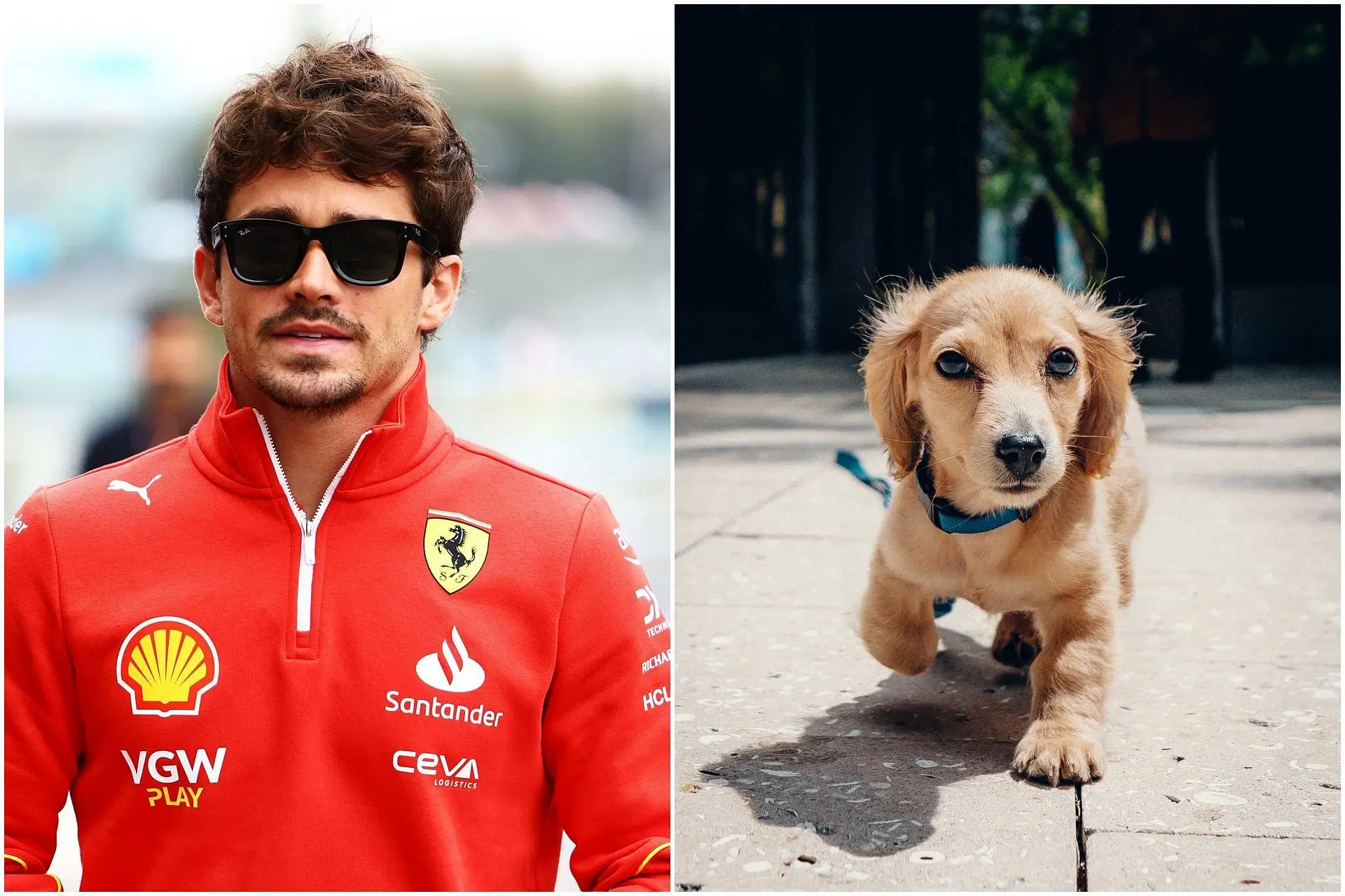 Ferrari's Imola Announcement: What It Means For Leclerc Ferrari's Imola Announcement: What It Means For Leclerc