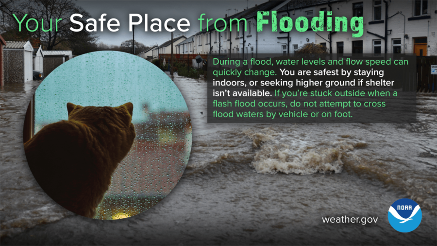 Flash Floods: What They Are, How To Stay Safe, And Understanding Flood Alerts Flash Floods: What They Are, How To Stay Safe, And Understanding Flood Alerts