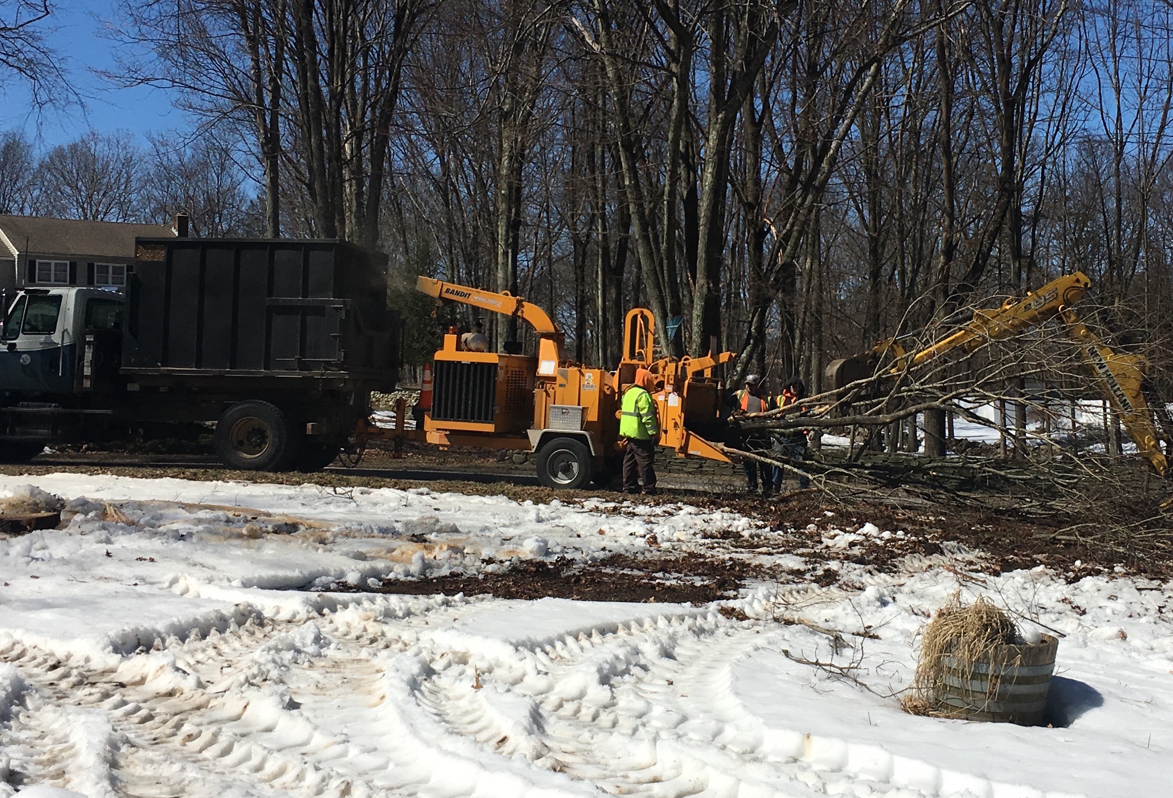Following Severe Weather: Louisville's Storm Debris Pickup Program Following Severe Weather: Louisville's Storm Debris Pickup Program