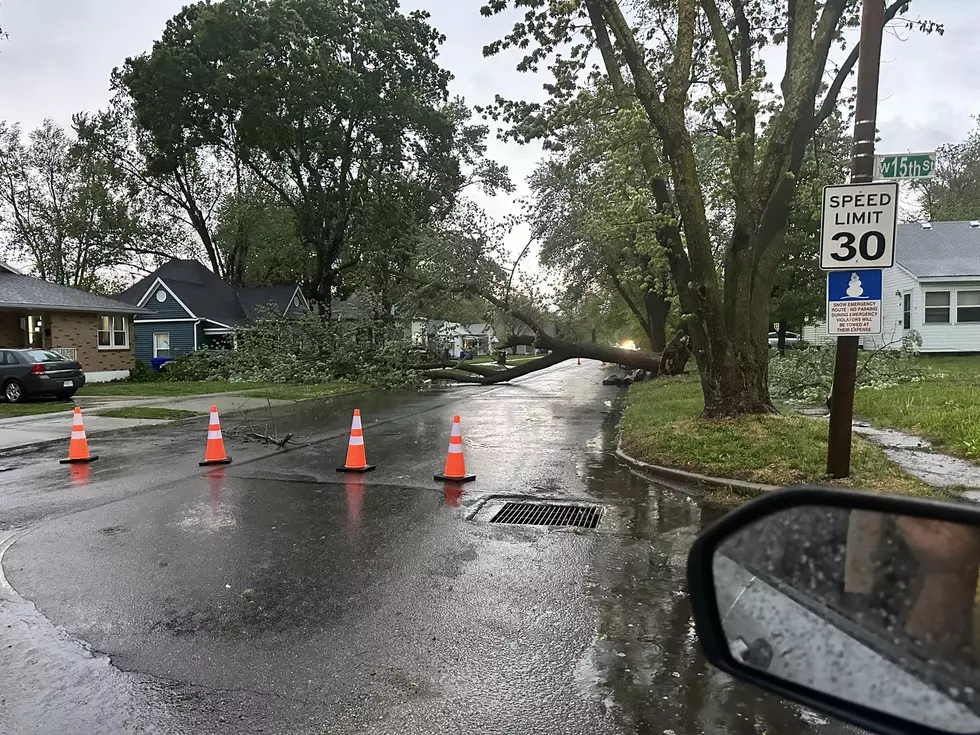 Following Severe Weather: Louisville's Storm Debris Pickup Service Following Severe Weather: Louisville's Storm Debris Pickup Service