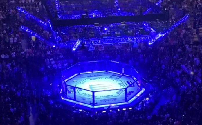 From Bellator To UFC: Analyzing Manon Fiorot's Impressive Record From Bellator To UFC: Analyzing Manon Fiorot's Impressive Record