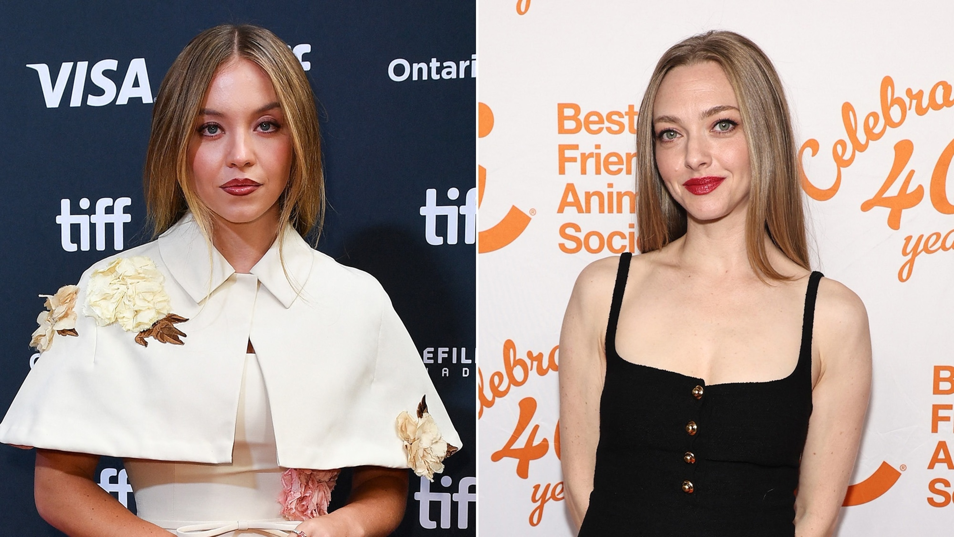 From Echo Valley & The Housemaid To The Big Screen: Sydney Sweeney's Next Project From Echo Valley & The Housemaid To The Big Screen: Sydney Sweeney's Next Project