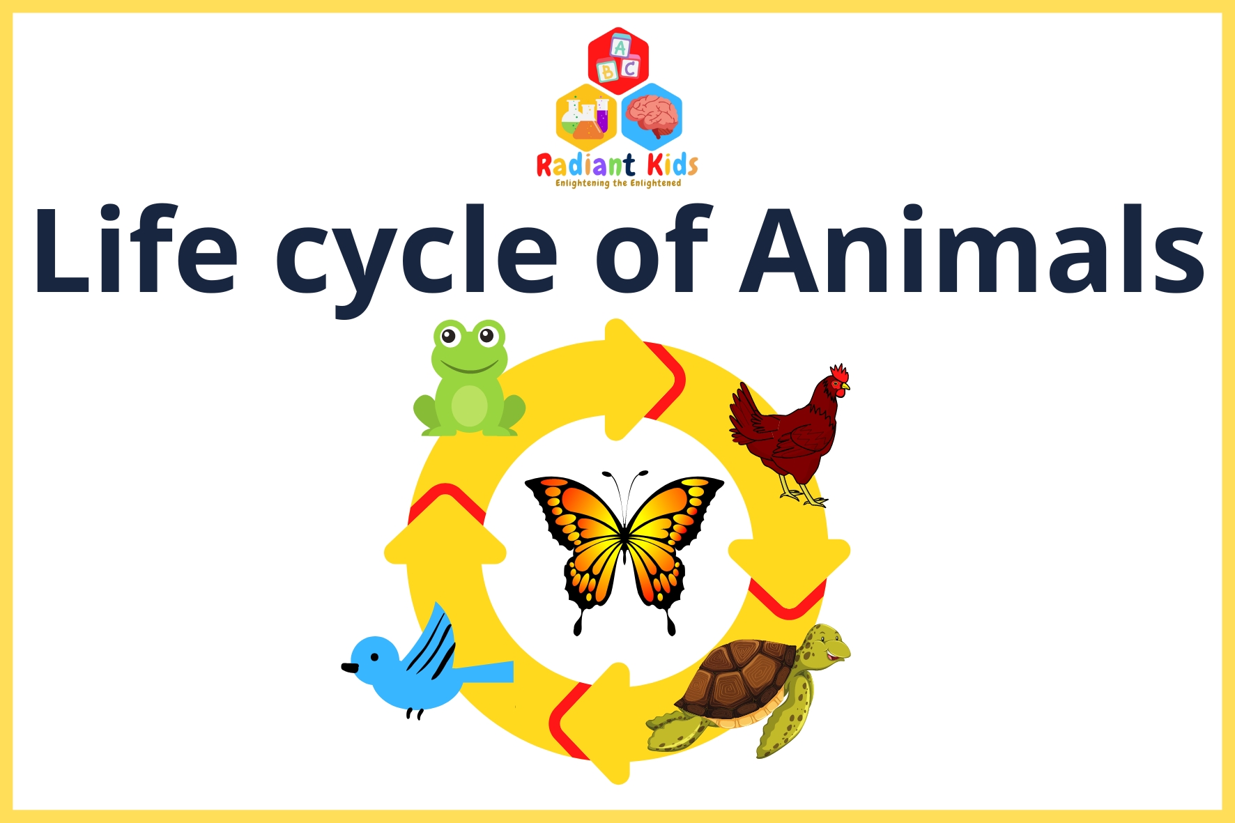 From Egg To Cow: How Campus Farms Teach Students About The Animal Life Cycle From Egg To Cow: How Campus Farms Teach Students About The Animal Life Cycle