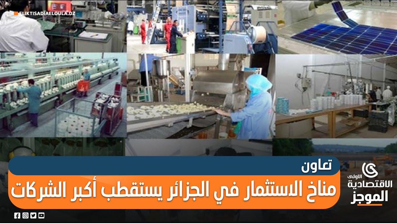 فرص الاستثمار في شراكة الطيران الجزائرية الأمريكية فرص الاستثمار في شراكة الطيران الجزائرية الأمريكية