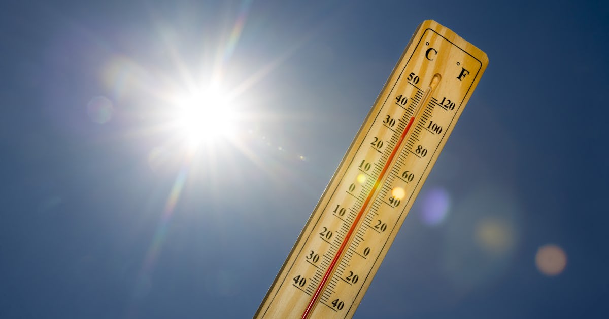 Fungal Infections And Global Warming: A Dangerous Combination Fungal Infections And Global Warming: A Dangerous Combination