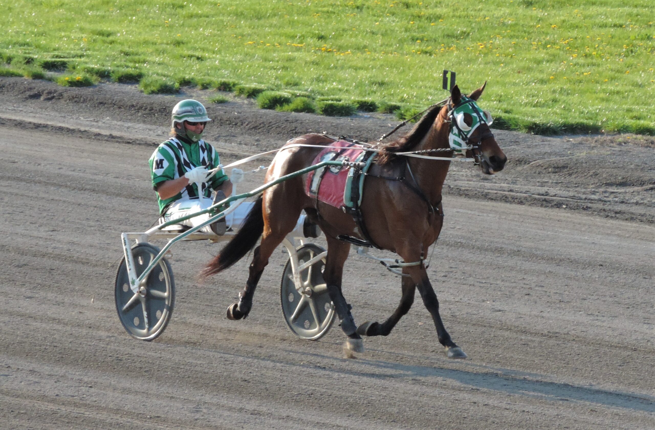 Get Ready: Tioga Downs' 2025 Racing Season Is Approaching Get Ready: Tioga Downs' 2025 Racing Season Is Approaching