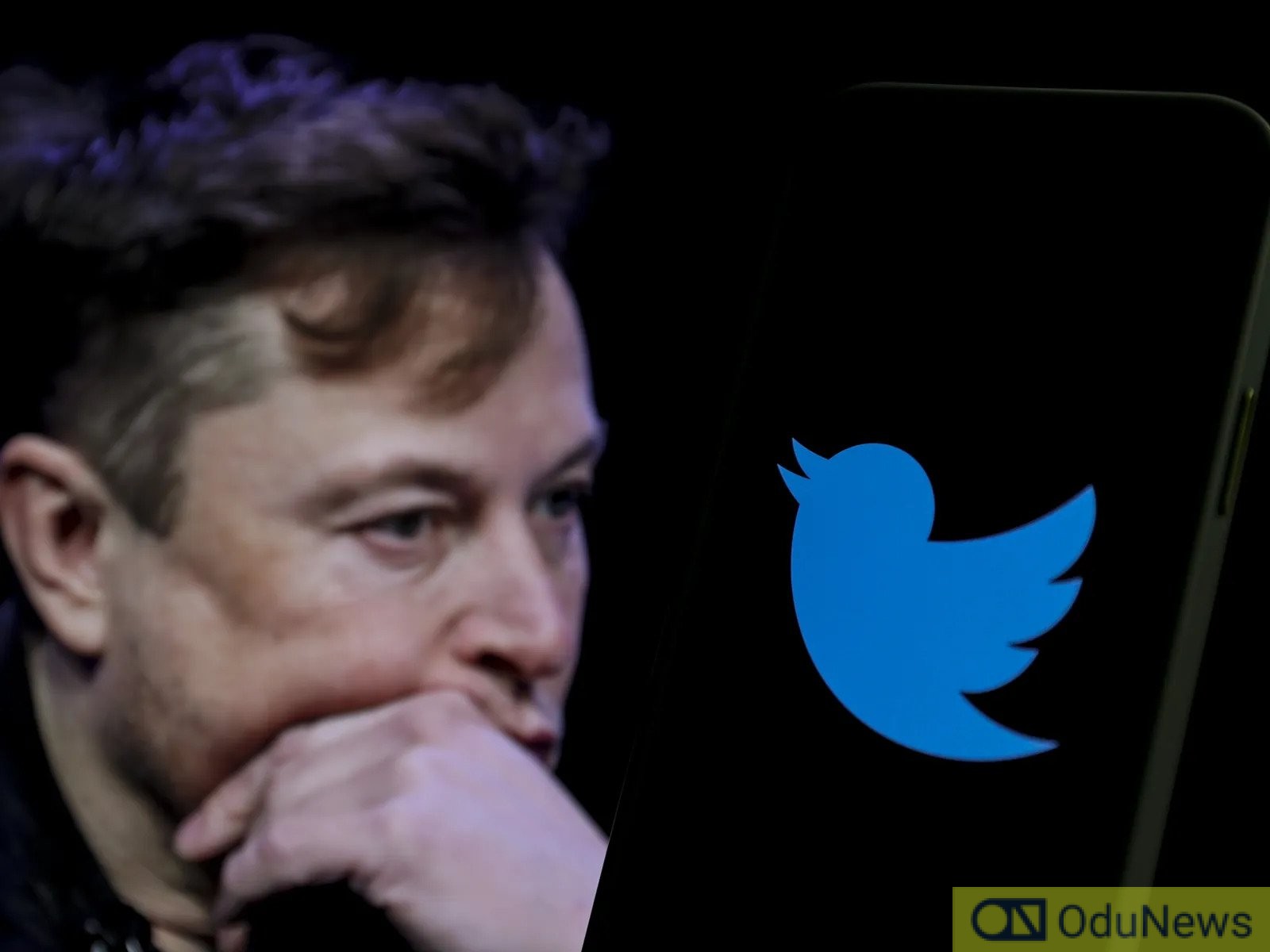 Gork Meme Coin Market Cap Jumps: Impact Of Elon Musk's Twitter Name Change Gork Meme Coin Market Cap Jumps: Impact Of Elon Musk's Twitter Name Change