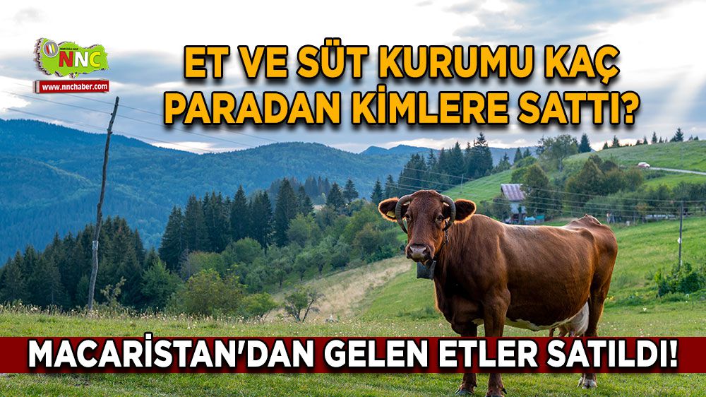 Hacıosmanoğlu'nun Macaristan Ziyareti: Detaylar Ve Sonuçlar Hacıosmanoğlu'nun Macaristan Ziyareti: Detaylar Ve Sonuçlar