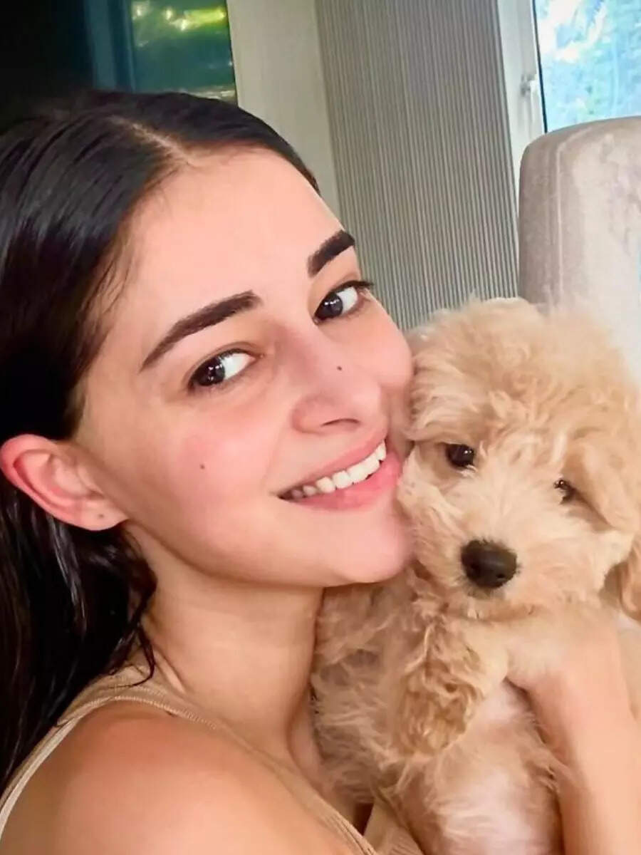Happy Birthday, Riot! Ananya Panday's Dog Turns One Happy Birthday, Riot! Ananya Panday's Dog Turns One