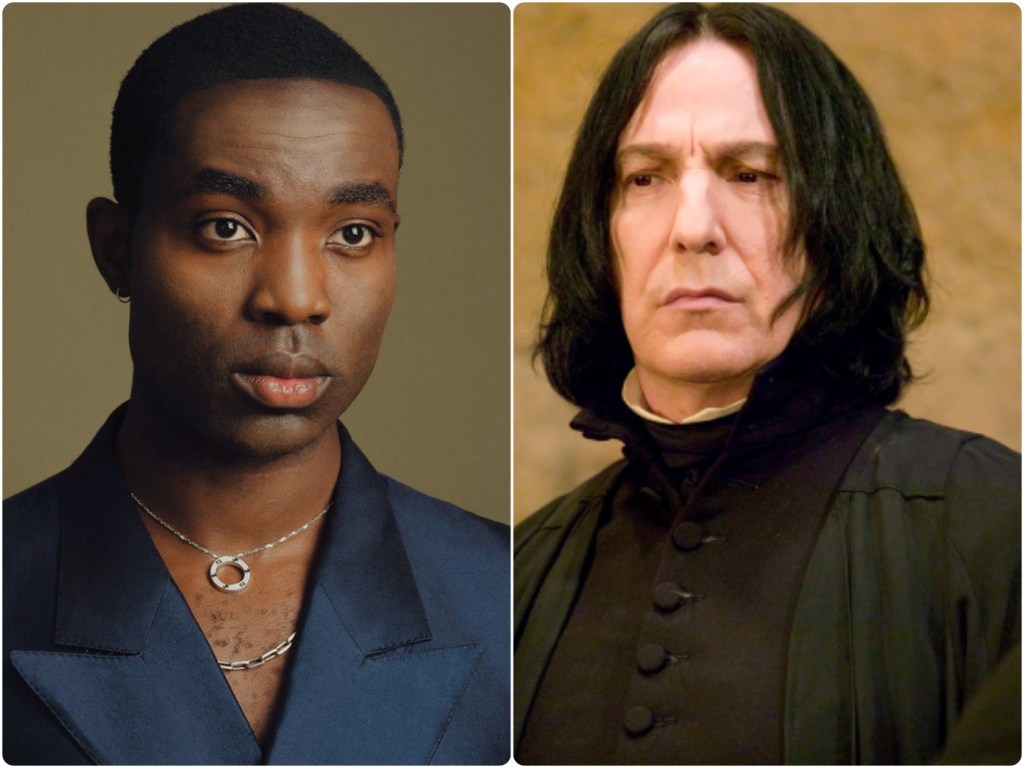 Harry Potter TV Series: Avoiding Past Mistakes