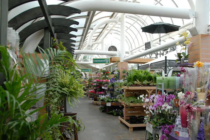 Hayes Garden World Theft: Ambleside Couple Charged With Shoplifting Hayes Garden World Theft: Ambleside Couple Charged With Shoplifting