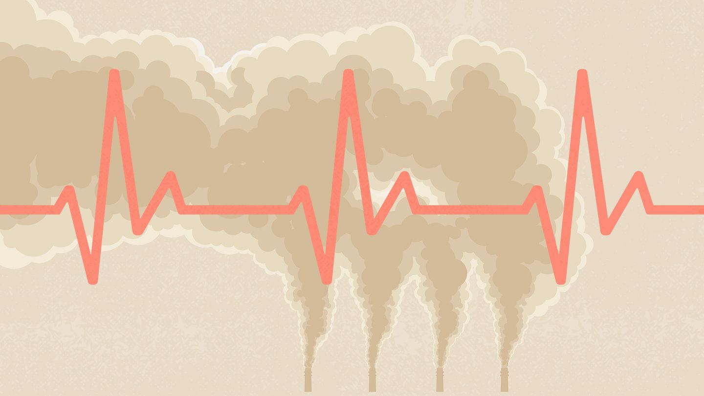 Heart Disease Deaths Linked To Chemicals In Everyday Household Plastics: A Recent Study