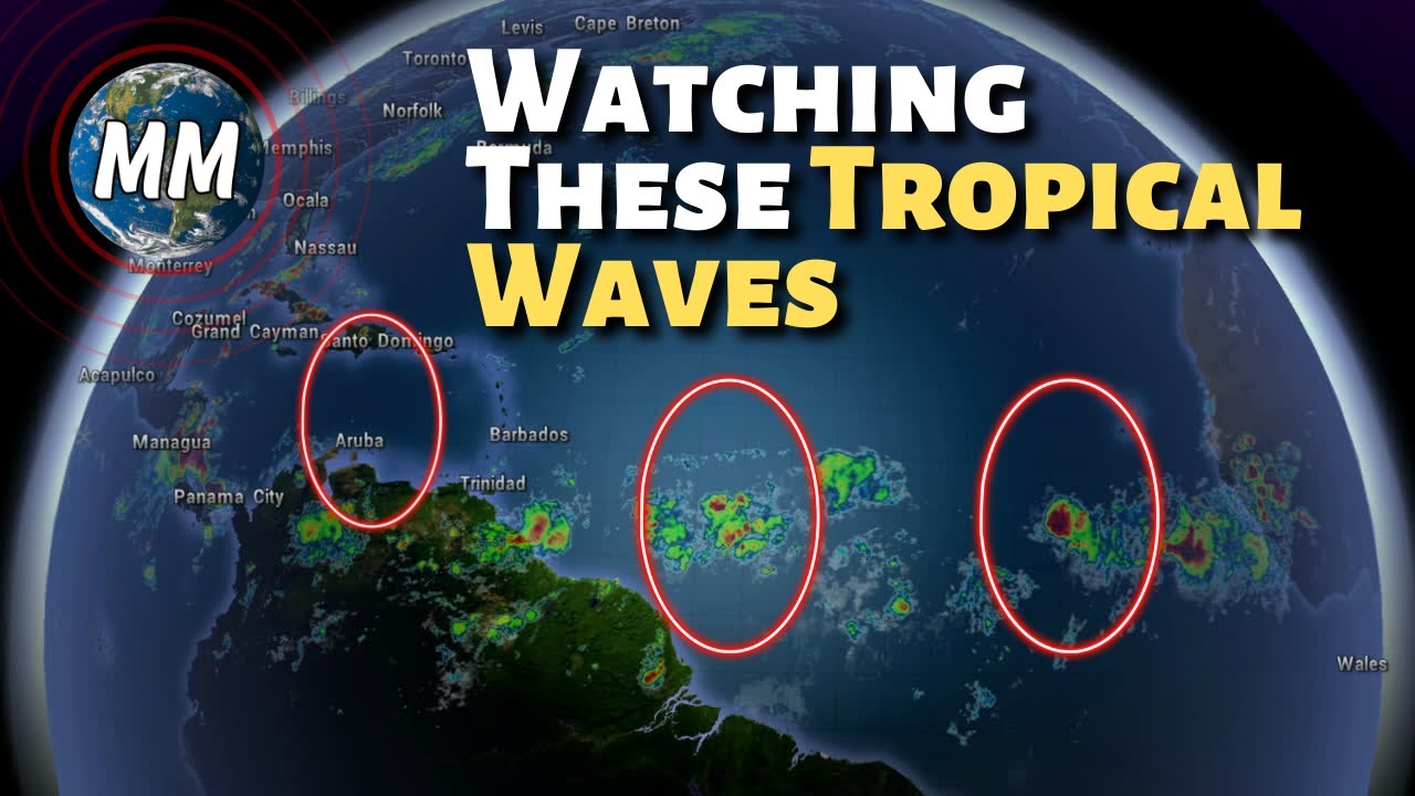 High Winds With Fast-Moving Storms: A Watch And Warning Guide High Winds With Fast-Moving Storms: A Watch And Warning Guide