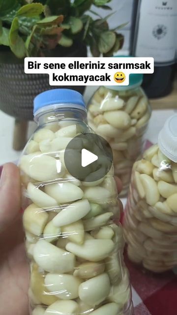 Hoş Kokmuyor Ama İtibarı Zedelemedi: Bir Ürün Analizi Hoş Kokmuyor Ama İtibarı Zedelemedi: Bir Ürün Analizi