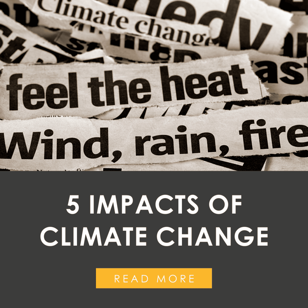 How Climate Change Impacts Your Ability To Buy A Home: Credit Score Risks Explained How Climate Change Impacts Your Ability To Buy A Home: Credit Score Risks Explained