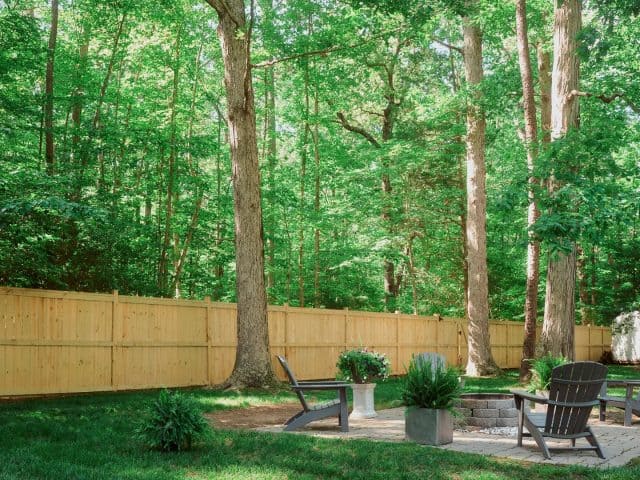 How To Build A Living Fence: A Comprehensive Guide How To Build A Living Fence: A Comprehensive Guide