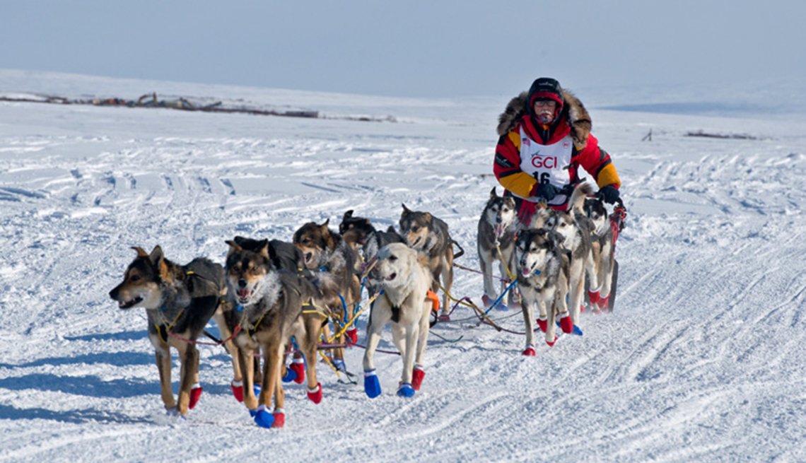 Iditarod 2024: Meet The Rookie Mushers Vying For Nome Iditarod 2024: Meet The Rookie Mushers Vying For Nome