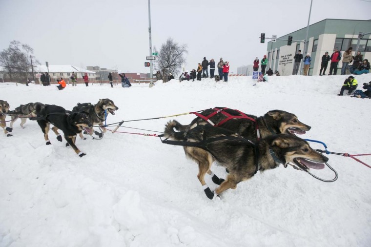 Iditarod 2025: Downtown Anchorage Throngs With Spectators For Ceremonial Start Iditarod 2025: Downtown Anchorage Throngs With Spectators For Ceremonial Start
