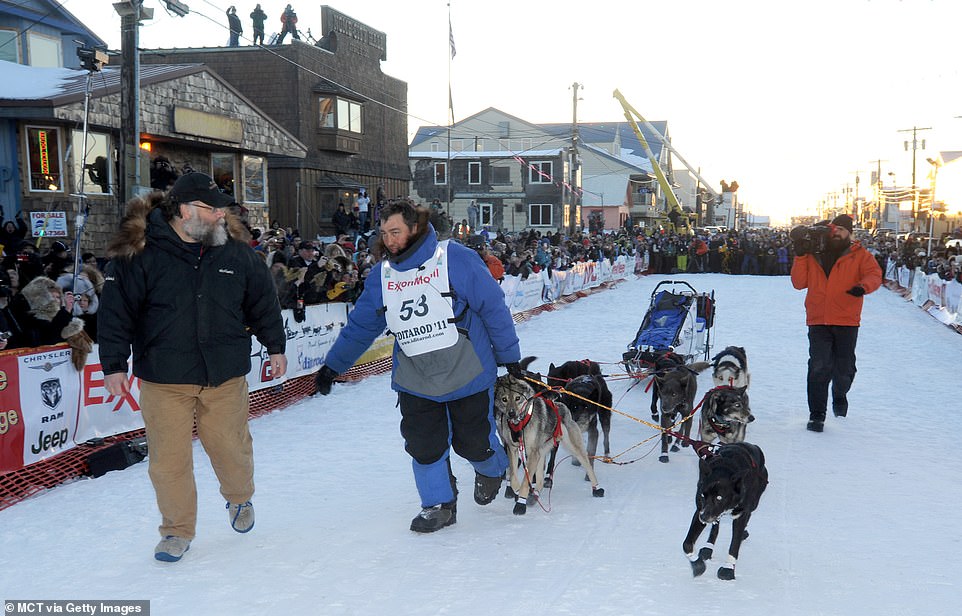 Iditarod Rookies: 7 Sled Dog Teams Aiming For Nome Iditarod Rookies: 7 Sled Dog Teams Aiming For Nome