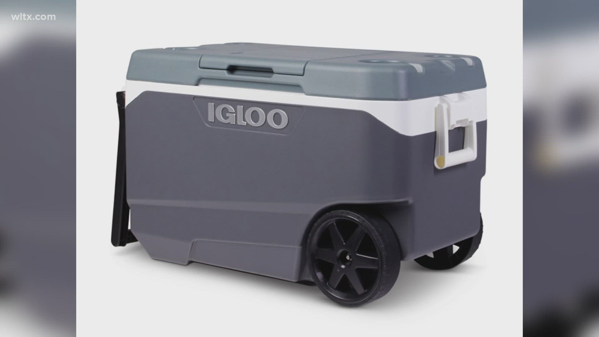 Igloo Cooler Recall: Walmart Issues Nationwide Warning Due To Amputation Hazard Igloo Cooler Recall: Walmart Issues Nationwide Warning Due To Amputation Hazard
