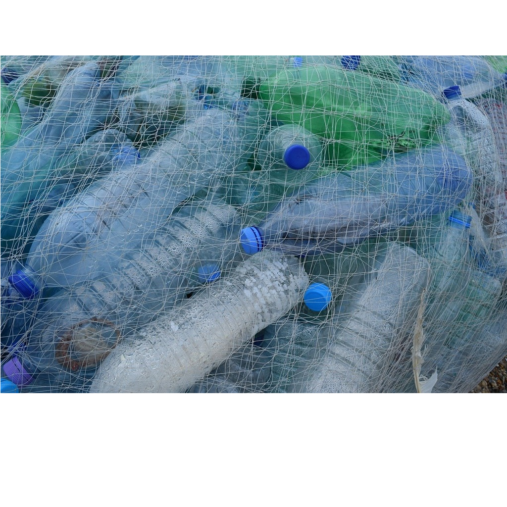 In Quale Acqua Troviamo Più Microplastiche? In Quale Acqua Troviamo Più Microplastiche?