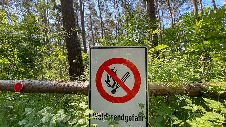 Innovative Sensortechnologie Im Einsatz: Sachsenforst Verbessert Waldbrandschutz In Der Sächsischen Schweiz Innovative Sensortechnologie Im Einsatz: Sachsenforst Verbessert Waldbrandschutz In Der Sächsischen Schweiz